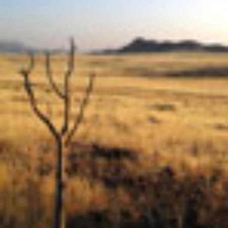 Paddy Reilly's Music Bar